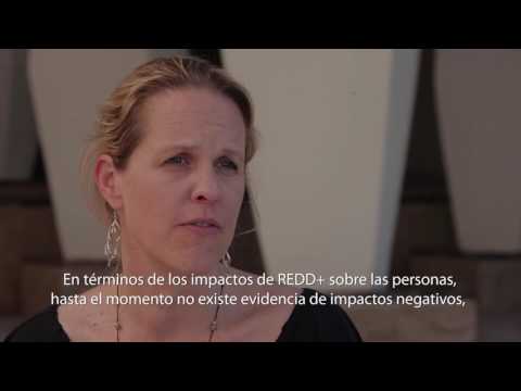 CIFOR en la COP13 del CBD. Midiendo el impacto de REDD+ para los bosques y las personas