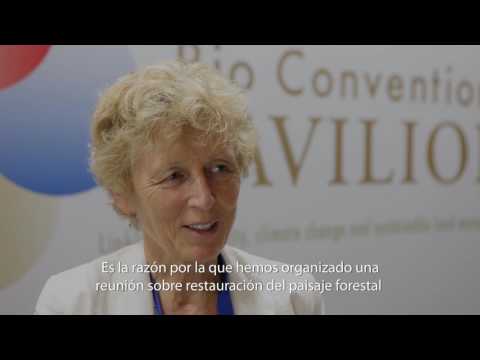 CIFOR en la COP13 del CBD. Restauración de paisajes: Entrevista con Eva Muller del CPF y FAO