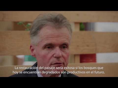 CIFOR en la COP13 del CBD. Restauración de paisajes: Entrevista con Michael Kleine de IUFRO