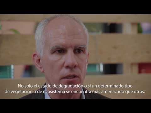 CIFOR en la COP13 del CBD. Restauración de paisajes: monitoreo participativo y regeneración natural