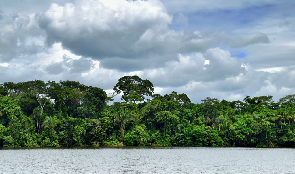 ¿Adaptación o mitigación? Las ventajas de su integración frente al cambio climático