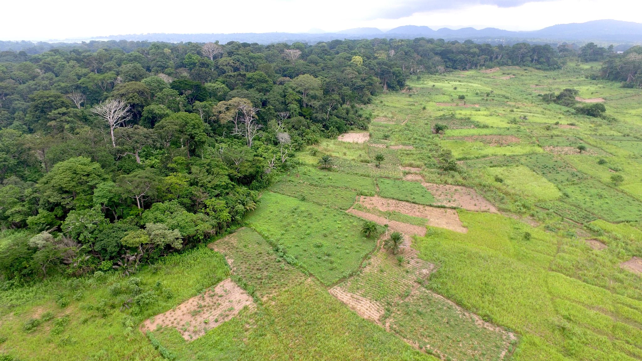 Nuevos enfoques para aumentar la rendición de cuentas en el Acuerdo de París