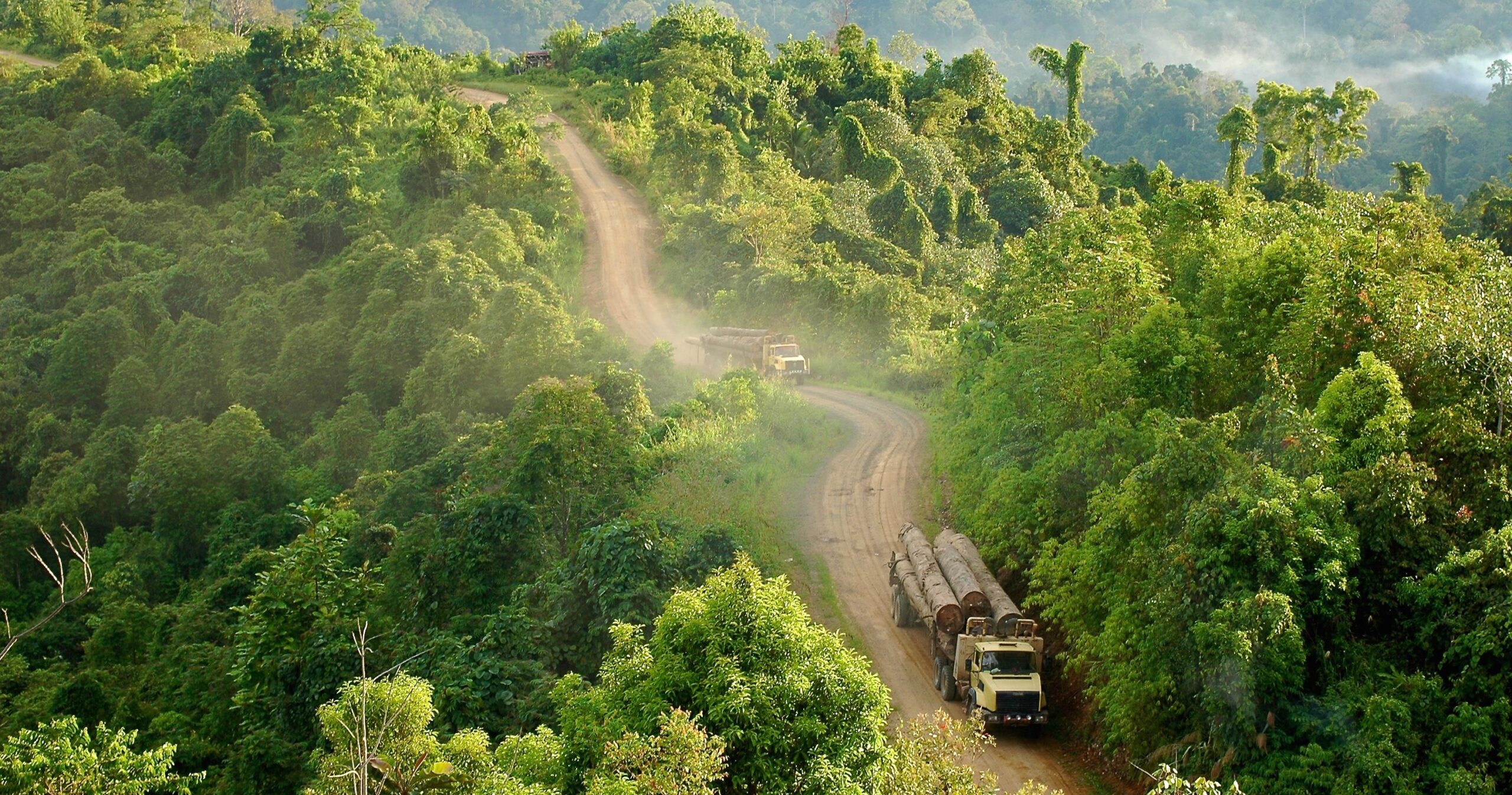 For a better Borneo, new map reveals how much terrain has changed