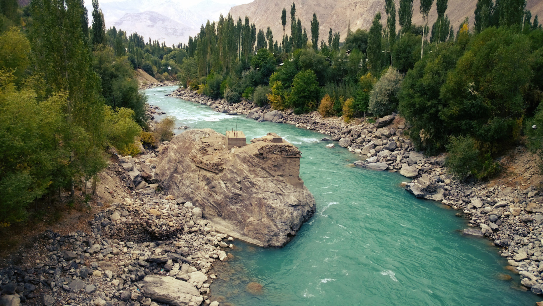 Remittances and reforestation