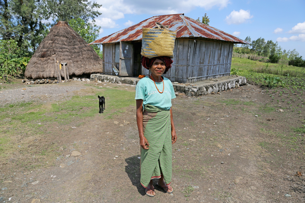 Mengapa produk hutan makin langka?