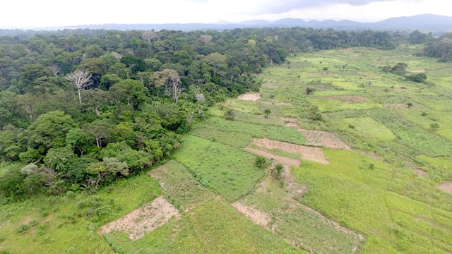 Satu angka untuk semua