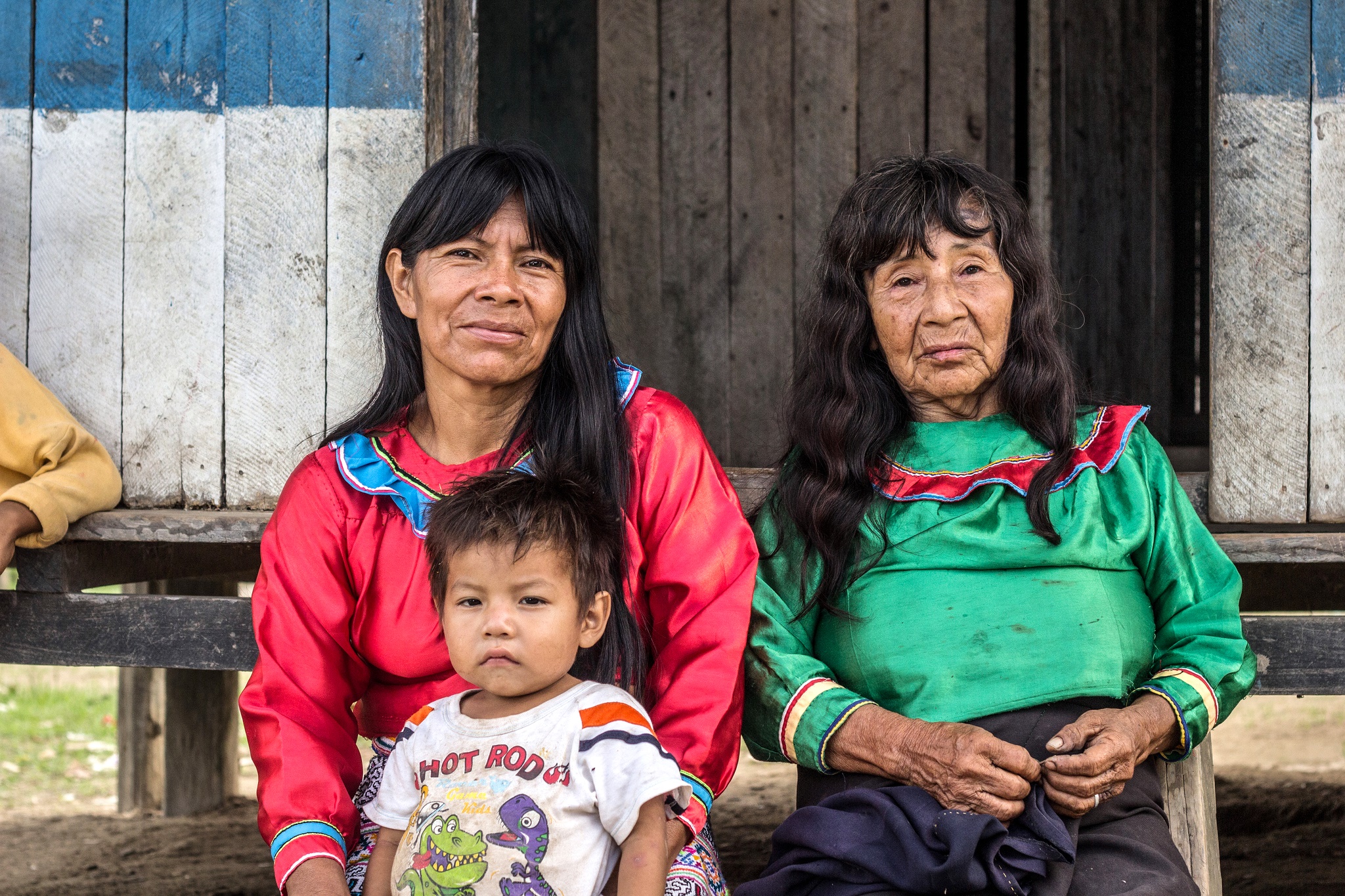 Reformas de tenencia forestal: Un espectro multicolor de desafíos