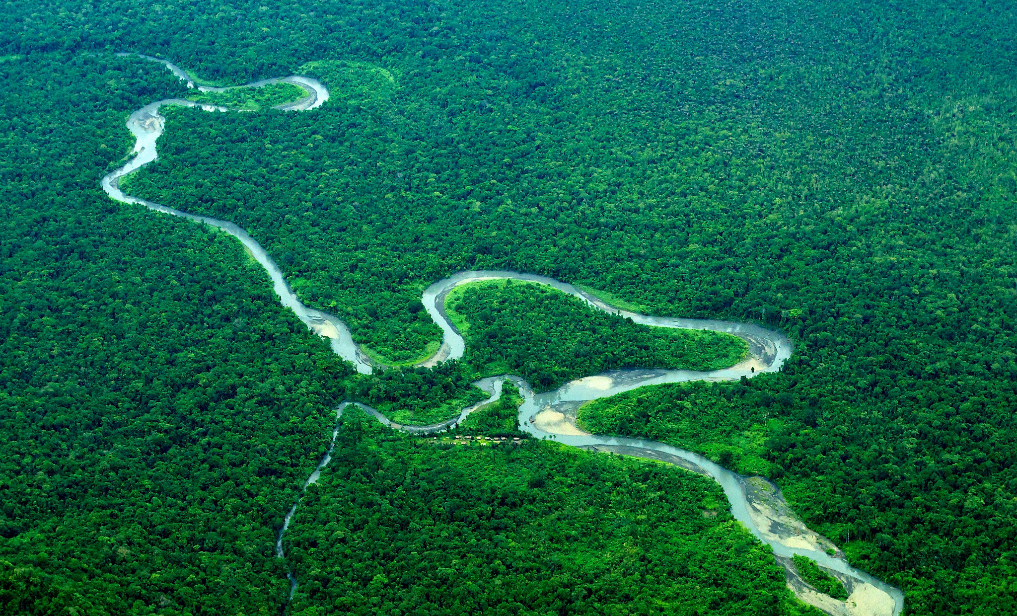 REDD+ results-based finance