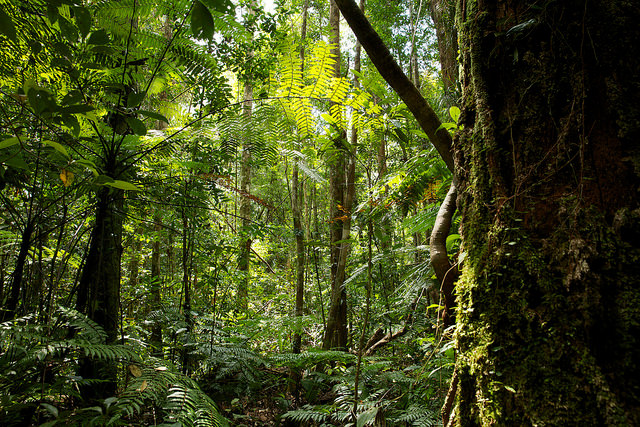 Getting down to business in Bonn