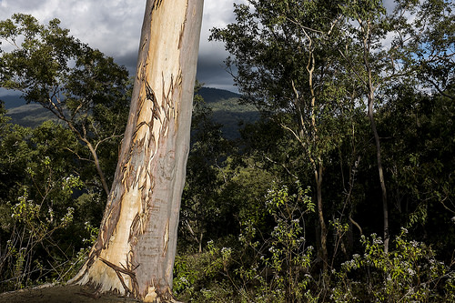 Langsung mengarah ke bisnis di Bonn