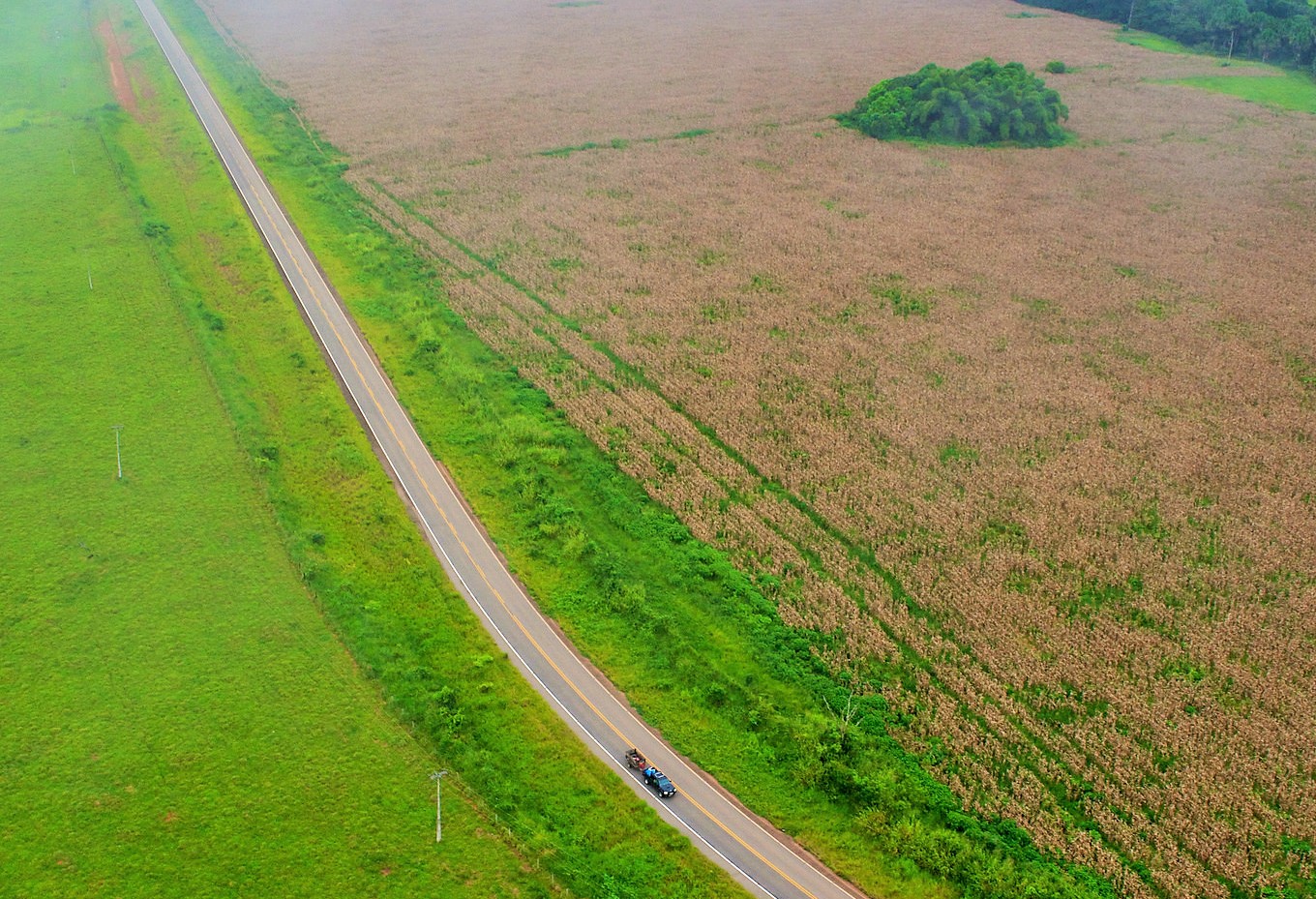 Una mirada profunda a los motores de la deforestación en Brasil y Bolivia