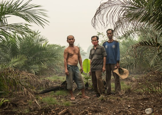 Hukum dan aturan lokal