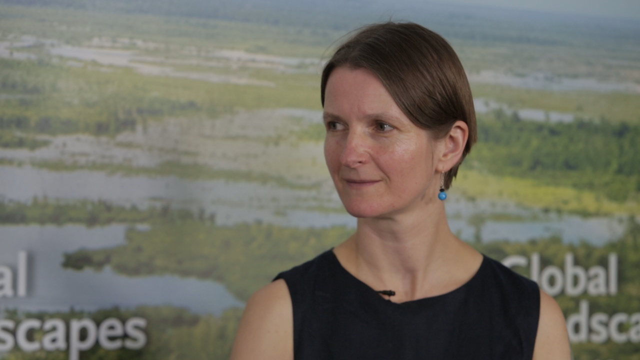 Lera Miles of UN Environment: ‘There’s much more peatland there than anyone had ever anticipated’