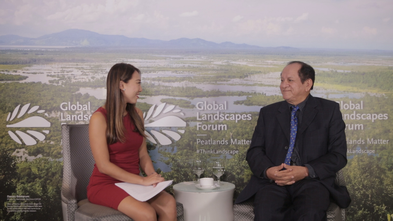 Dennis del Castillo, Institut Penelitian Hutan Amazon: ‘Lahan gambut hanya dianggap tempat pembuangan’