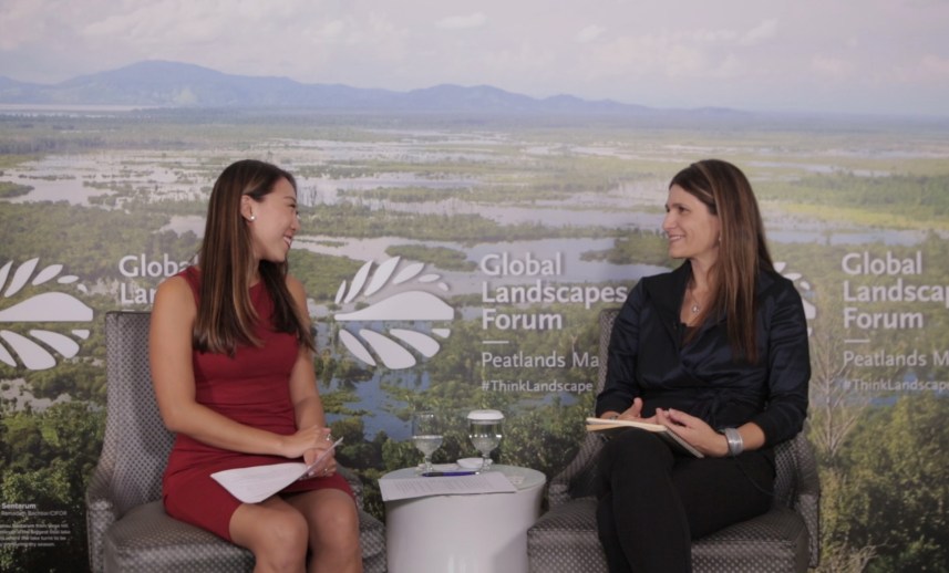 Ann Jeannette Glauber, Bank Dunia: ‘Kerugian kebakaran Indonesia 2015 dua kali lipat penanganan tsunami’