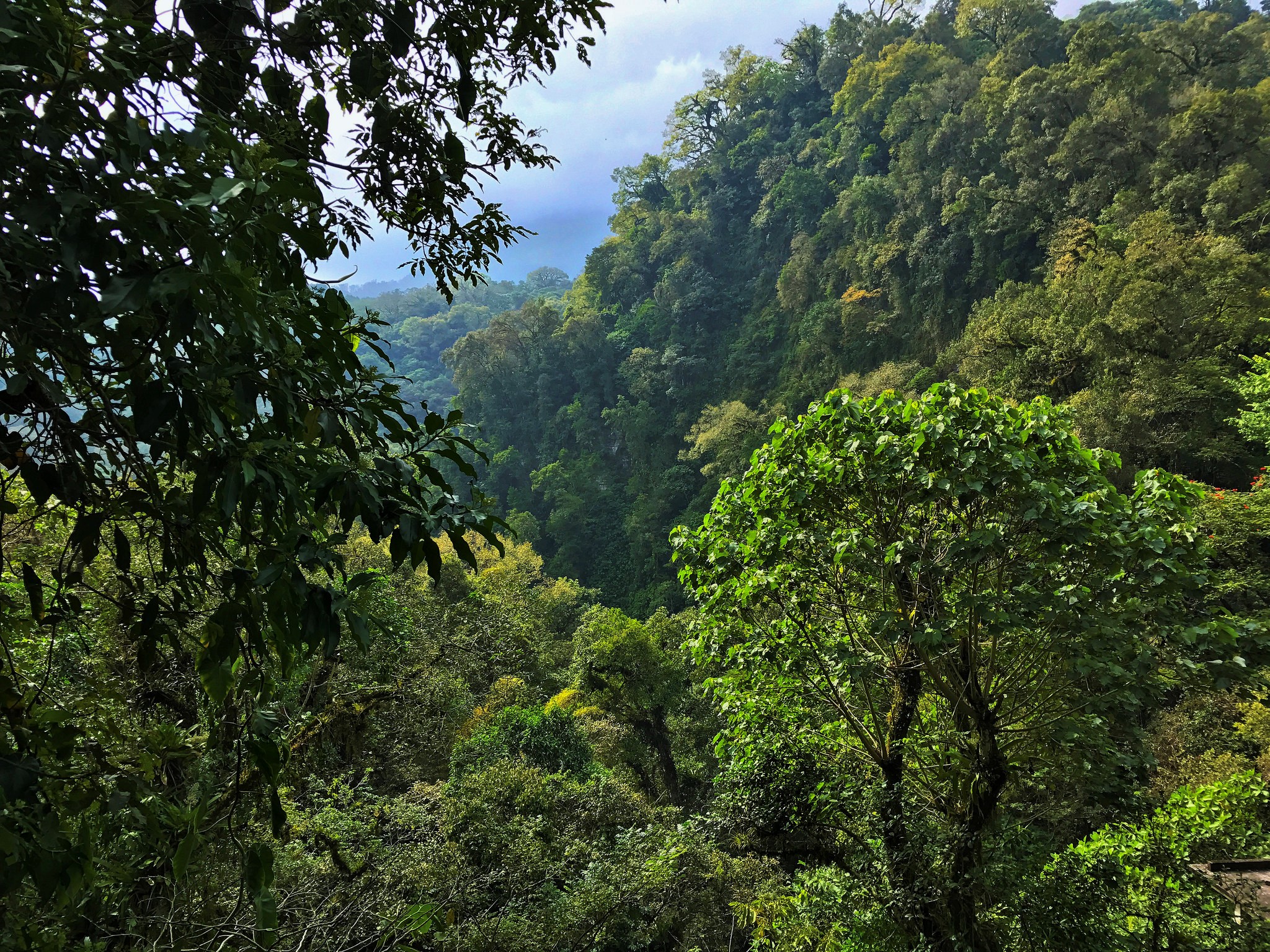 Hacia una evaluación de impacto de la conservación, versión 2.0