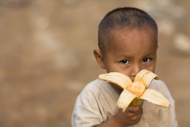 Los bosques: cruciales para la seguridad alimentaria y la nutrición mundial