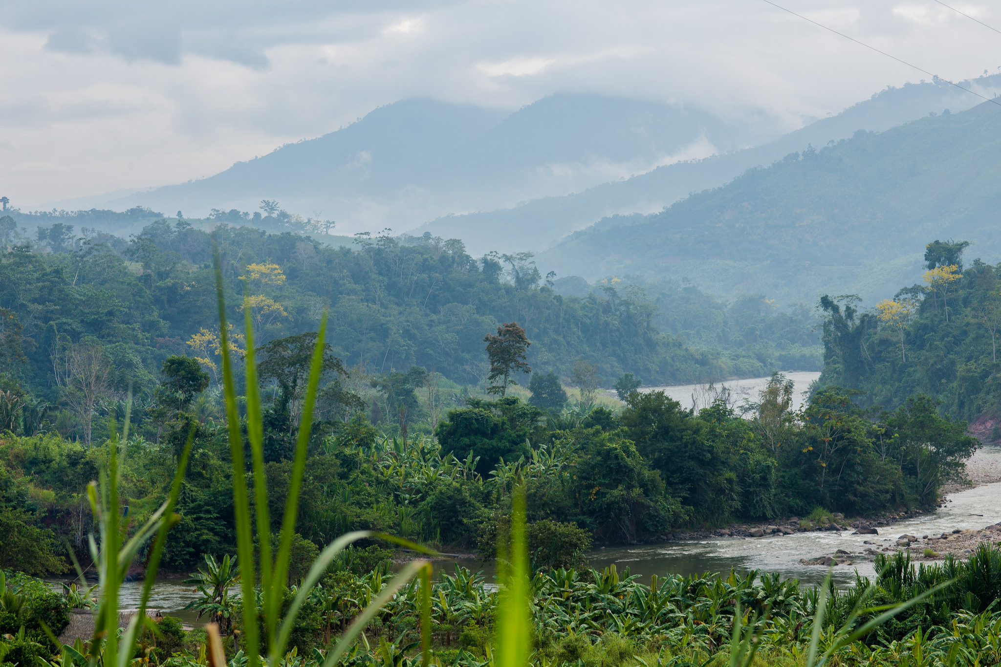 Es muy pronto para enterrar a REDD+