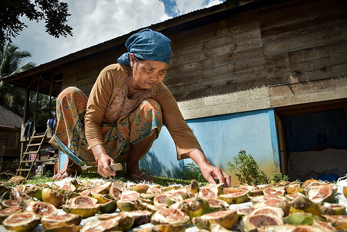 Partisipasi masyarakat sebagai bentuk perlindungan REDD+: Apa yang penting untuk dipertimbangkan?