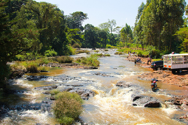 ¿Se puede calcular el valor de la naturaleza?