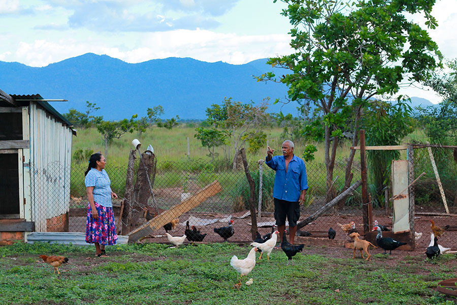 Empowering women through sustainable wildlife management: Flora Gomes’ story