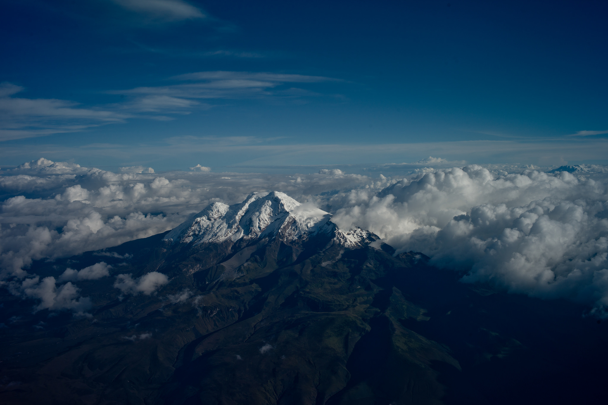 Challenges and opportunities for the restoration of Andean forests