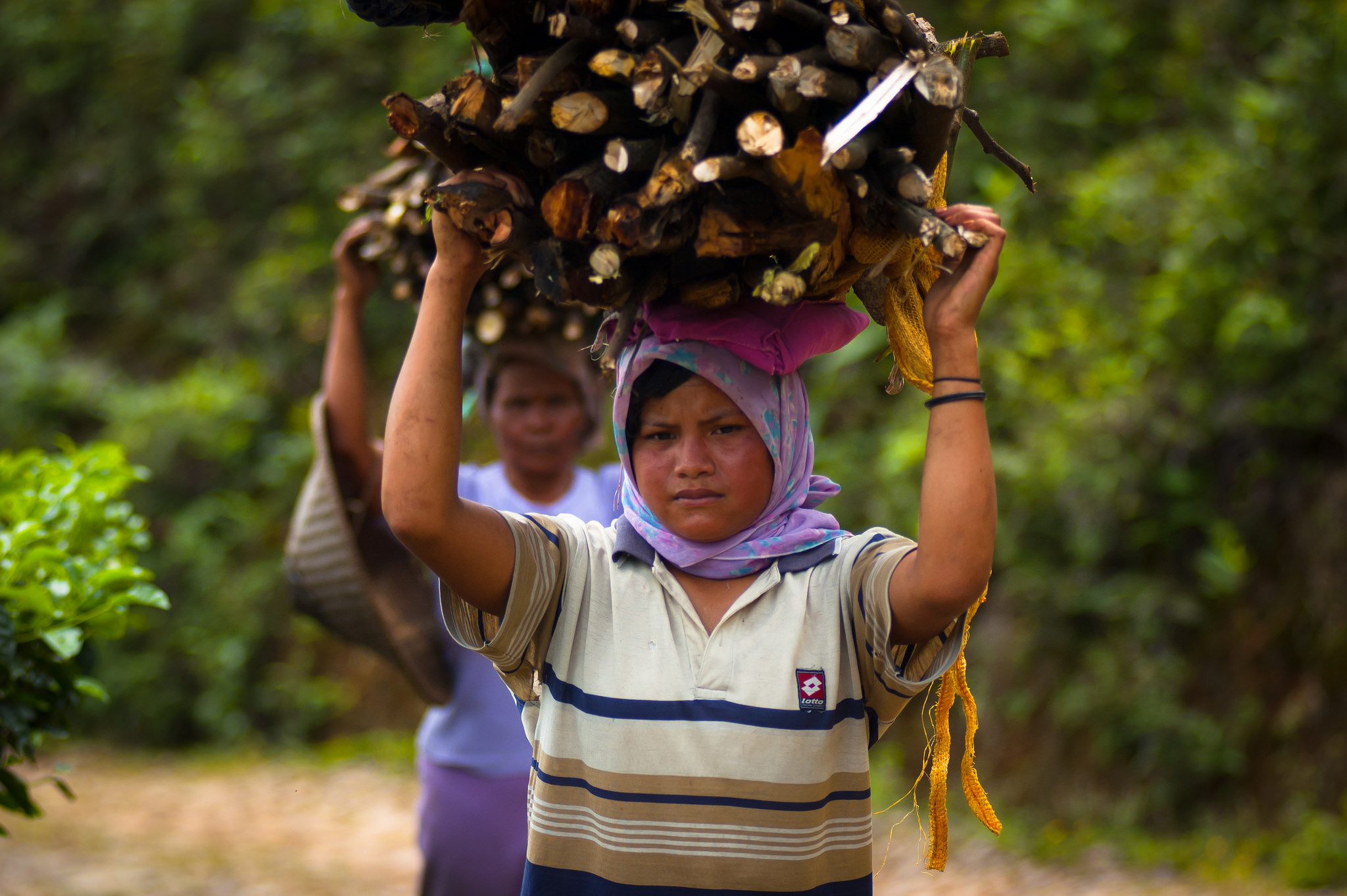 La raréfaction des produits forestiers et ses causes
