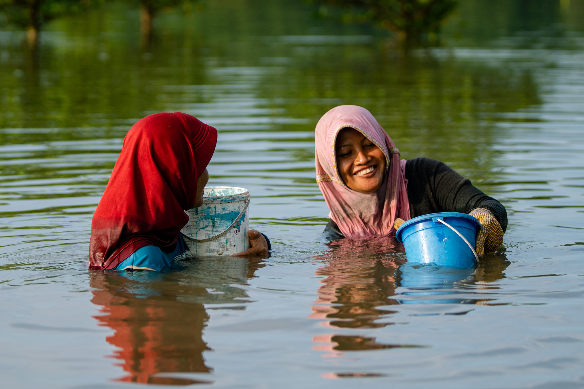 Mangrove Lebih Sehat, Lebih Banyak Ikan