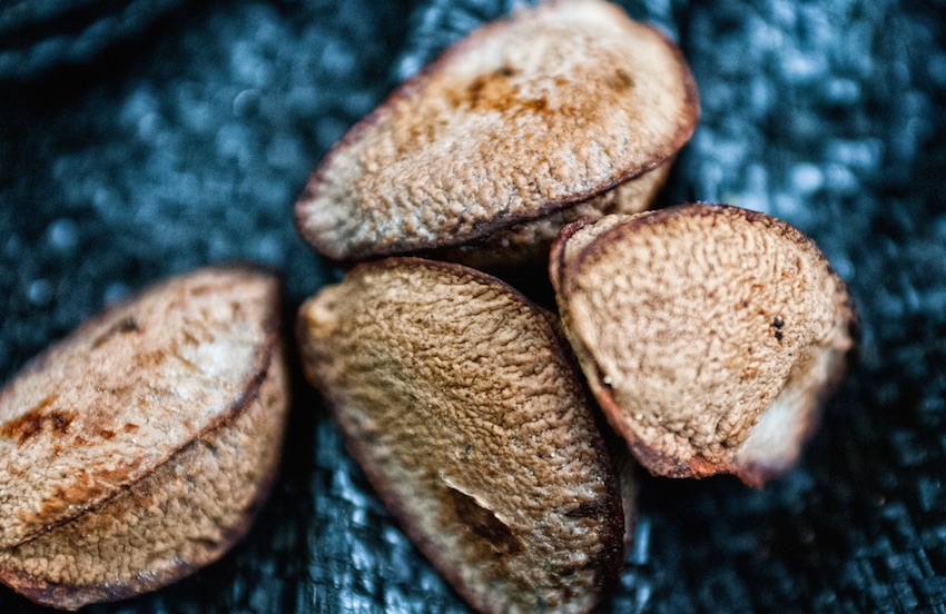 Brazil nuts: Savior seeds of the Amazon basin?