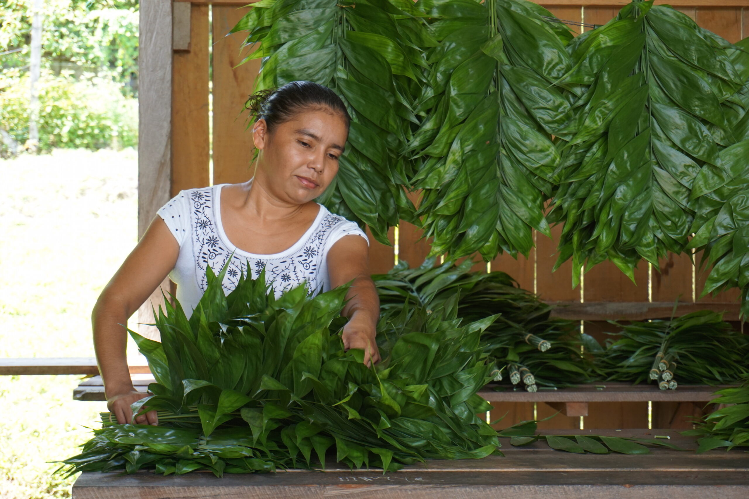 A promising (but uncertain) future for tenure rights devolution