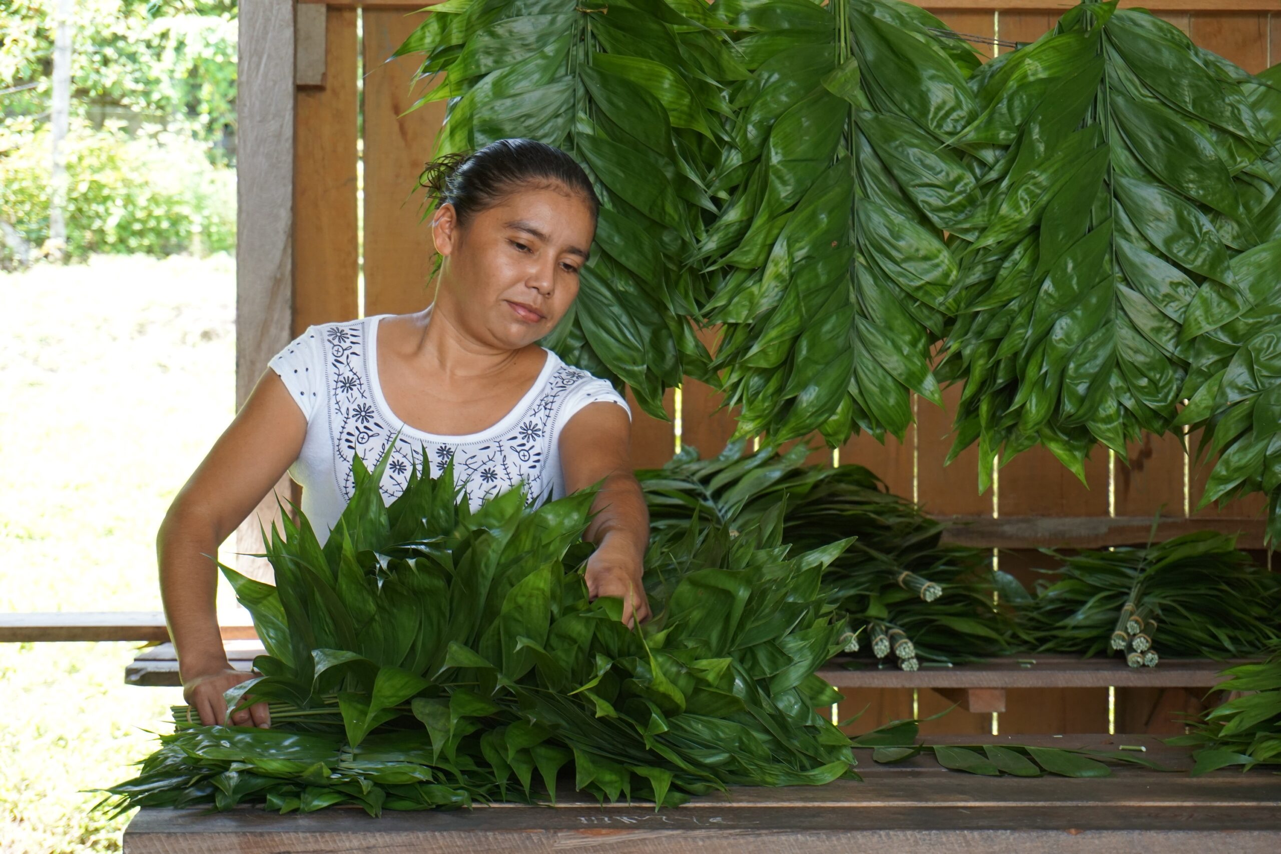 Masa depan cerah penyerahan hak tenurial, meski belum pasti