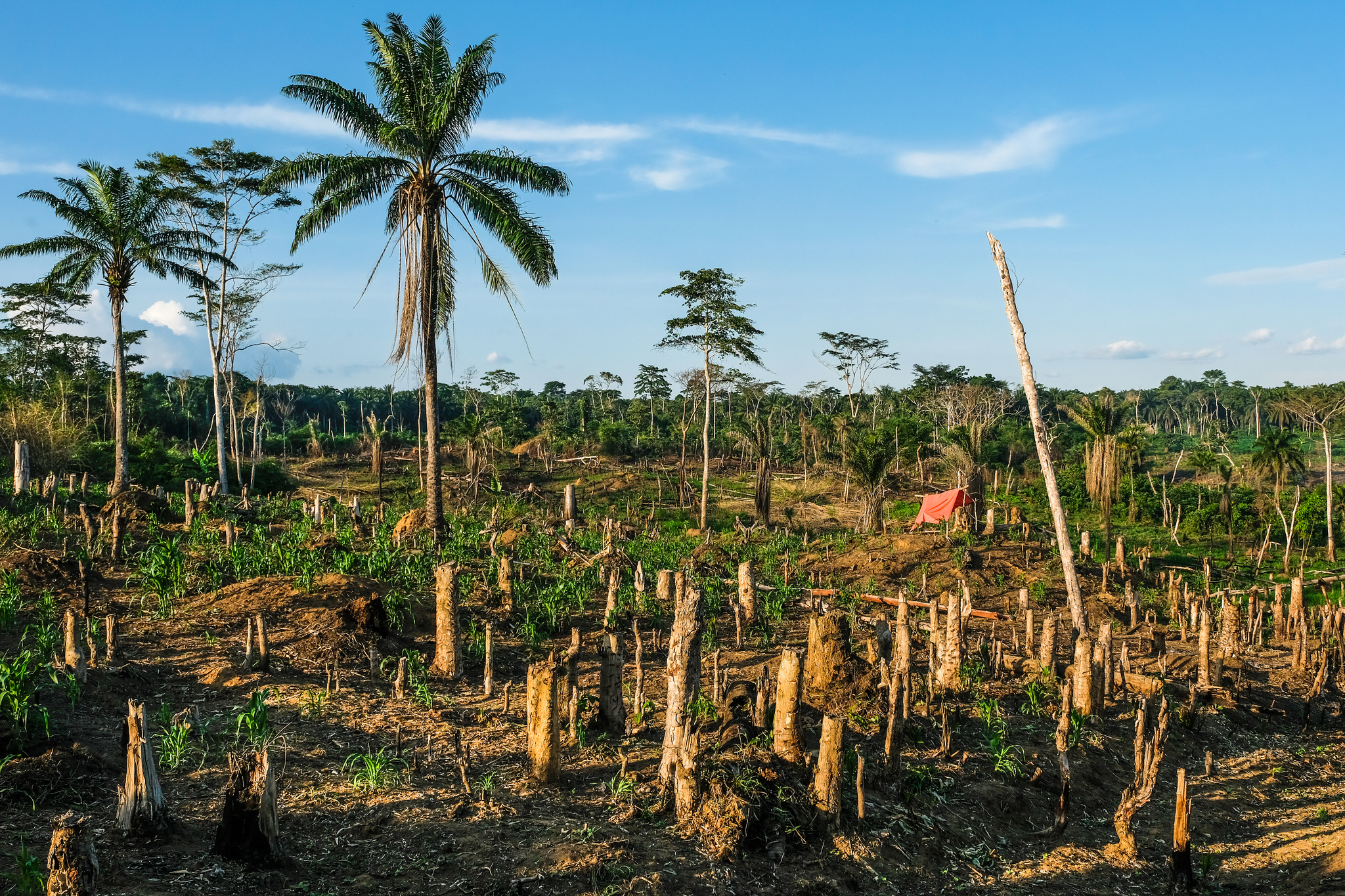 Cómo hacer frente a los peligros que trae la degradación de las tierras