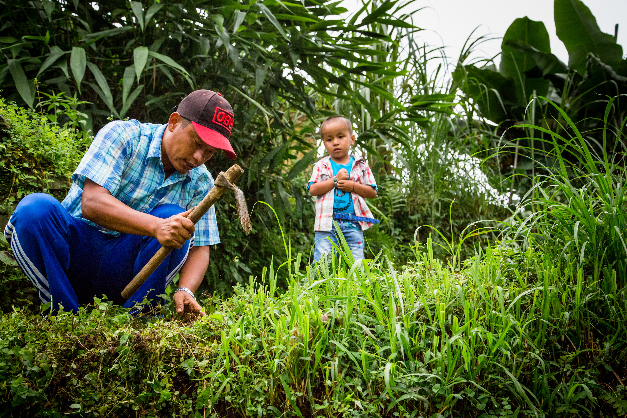 The dreamer, the progressive and the returnee