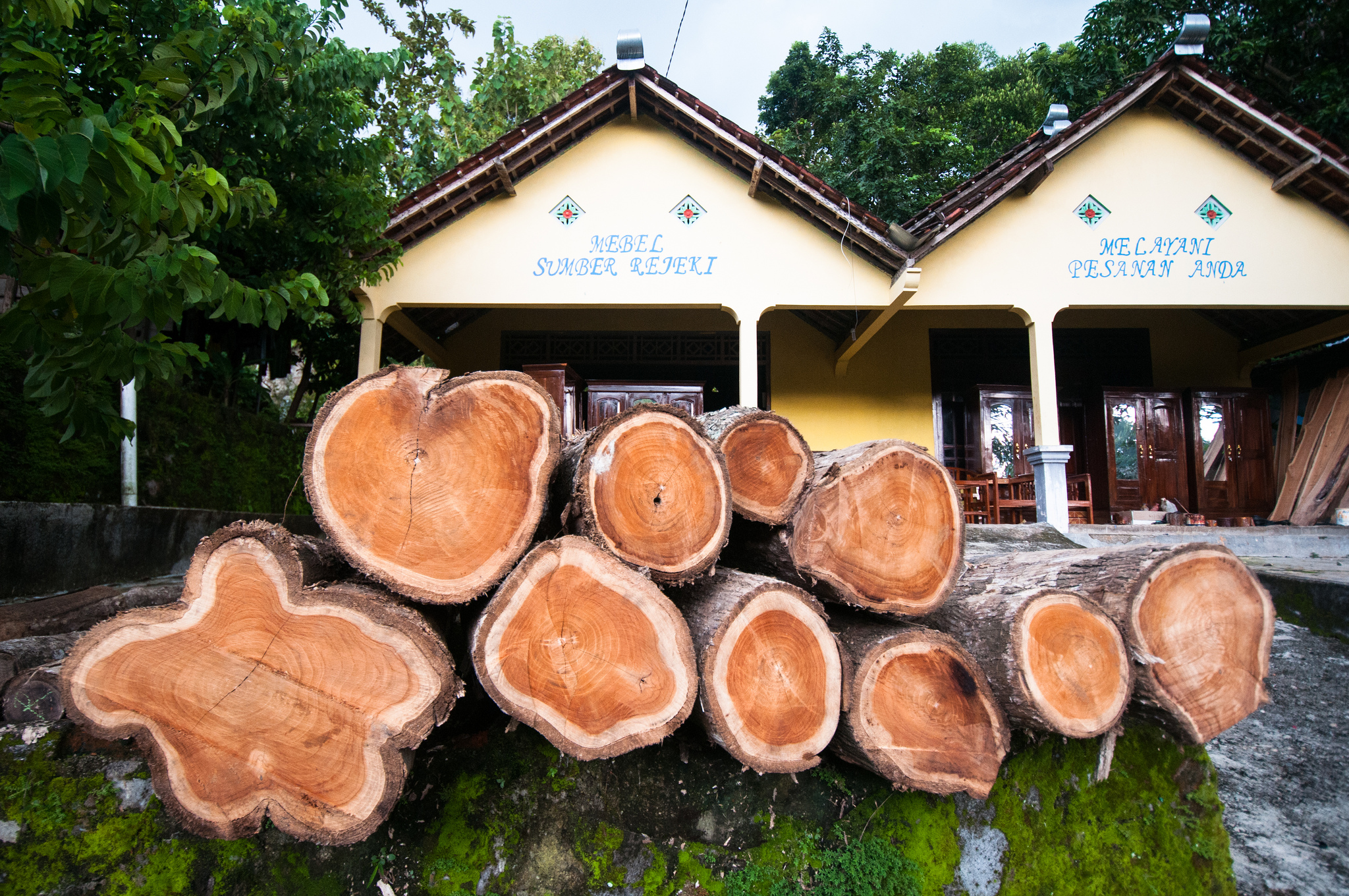 Mendapatkan harga tinggi untuk kayu bersertifikat