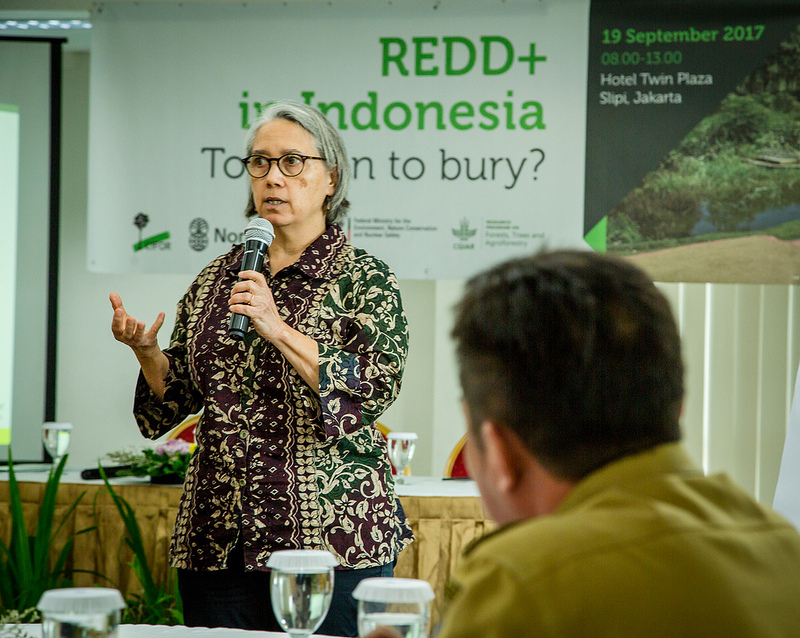 Indonesia belum siap melupakan REDD+
