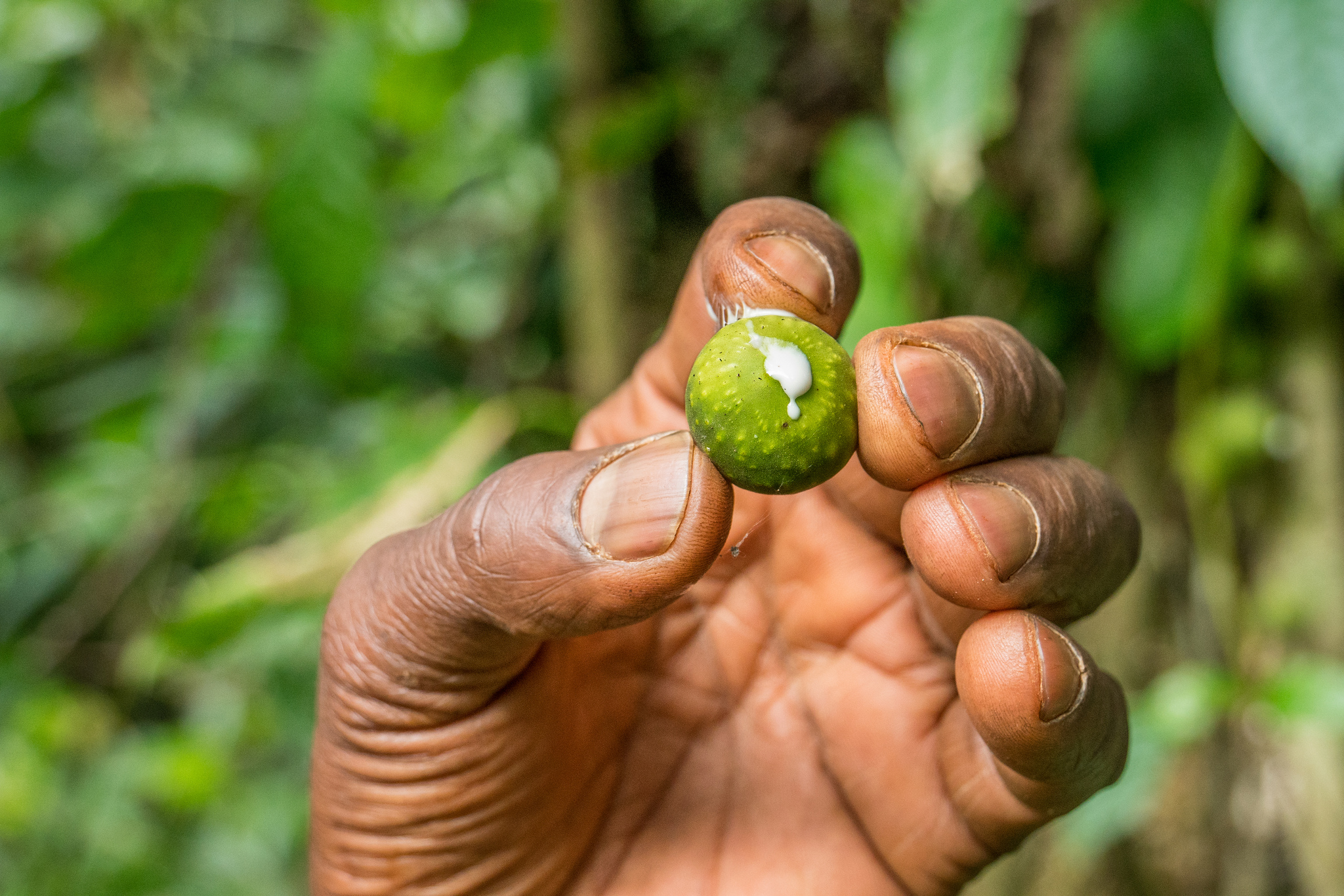 COP23 Special: Green Climate Fund payments: An explainer