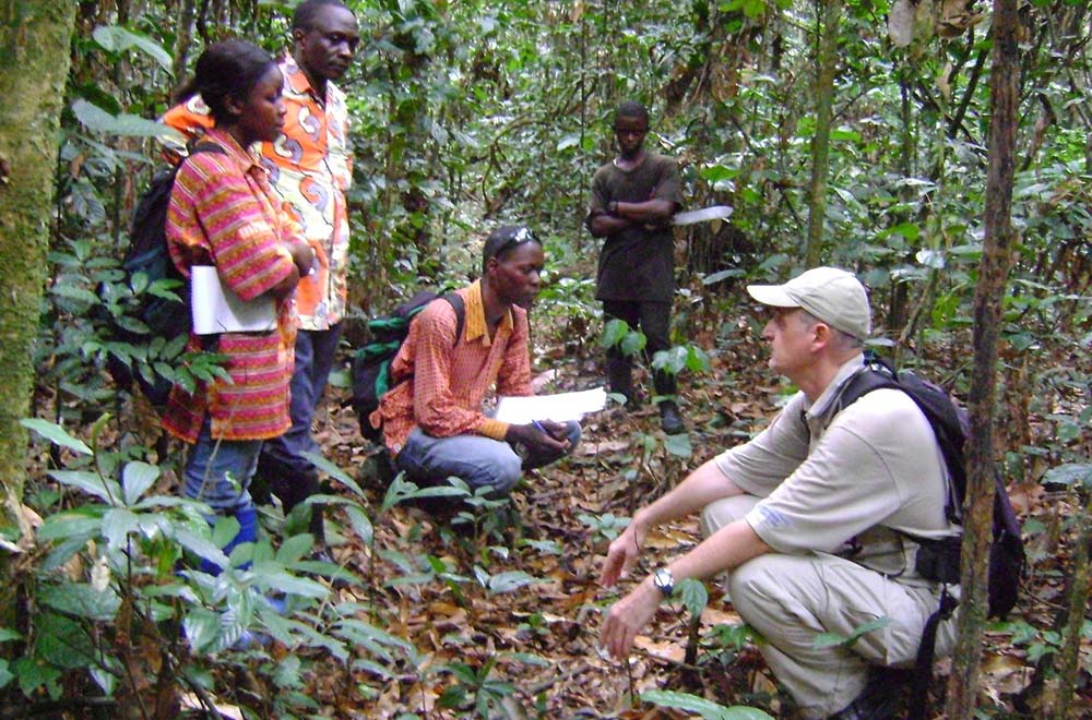 Robert Nasi: «Debemos reconocer el papel de los bosques secundarios para la biodiversidad»