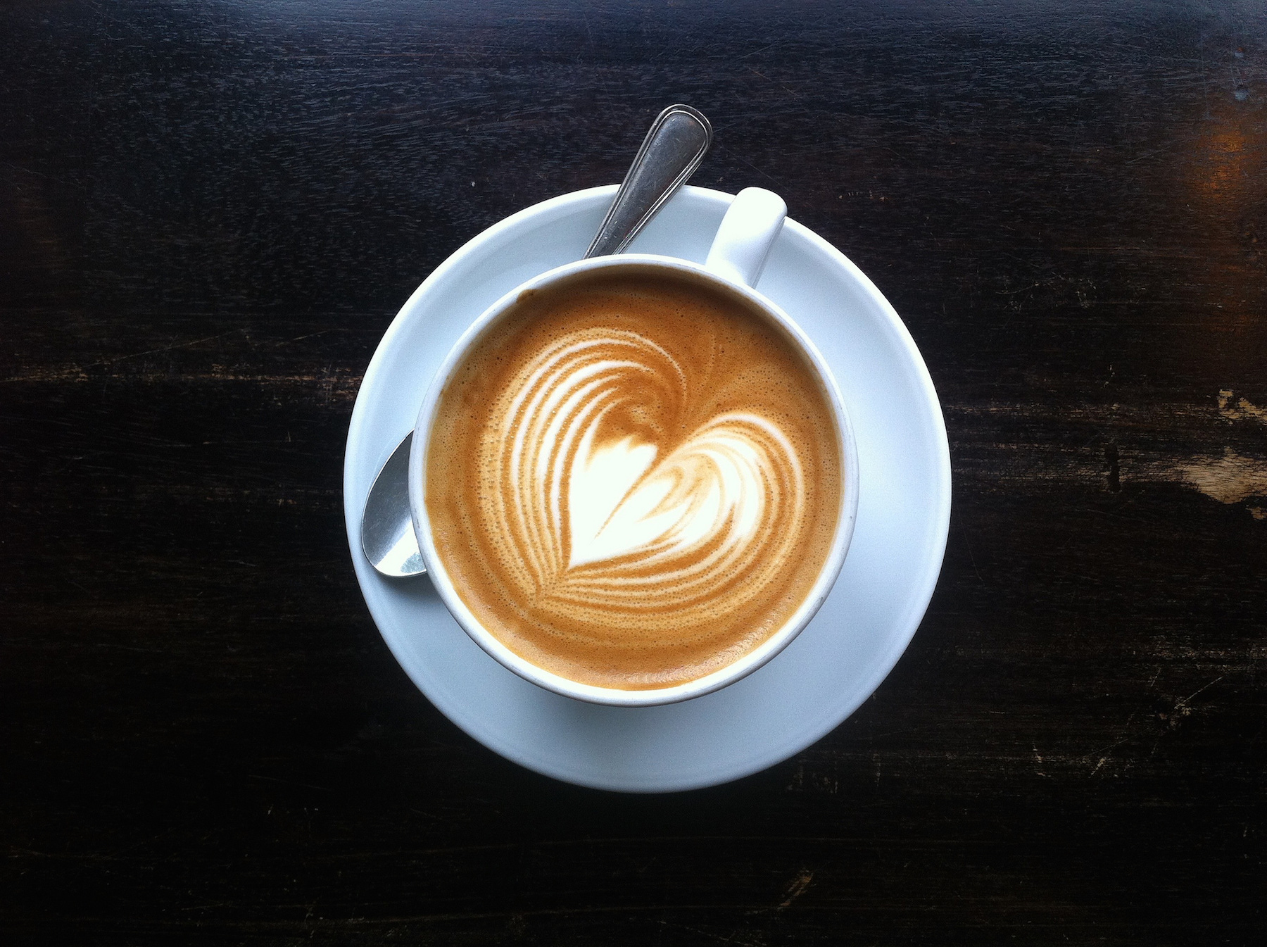 Forests could keep the buzz in your coffee