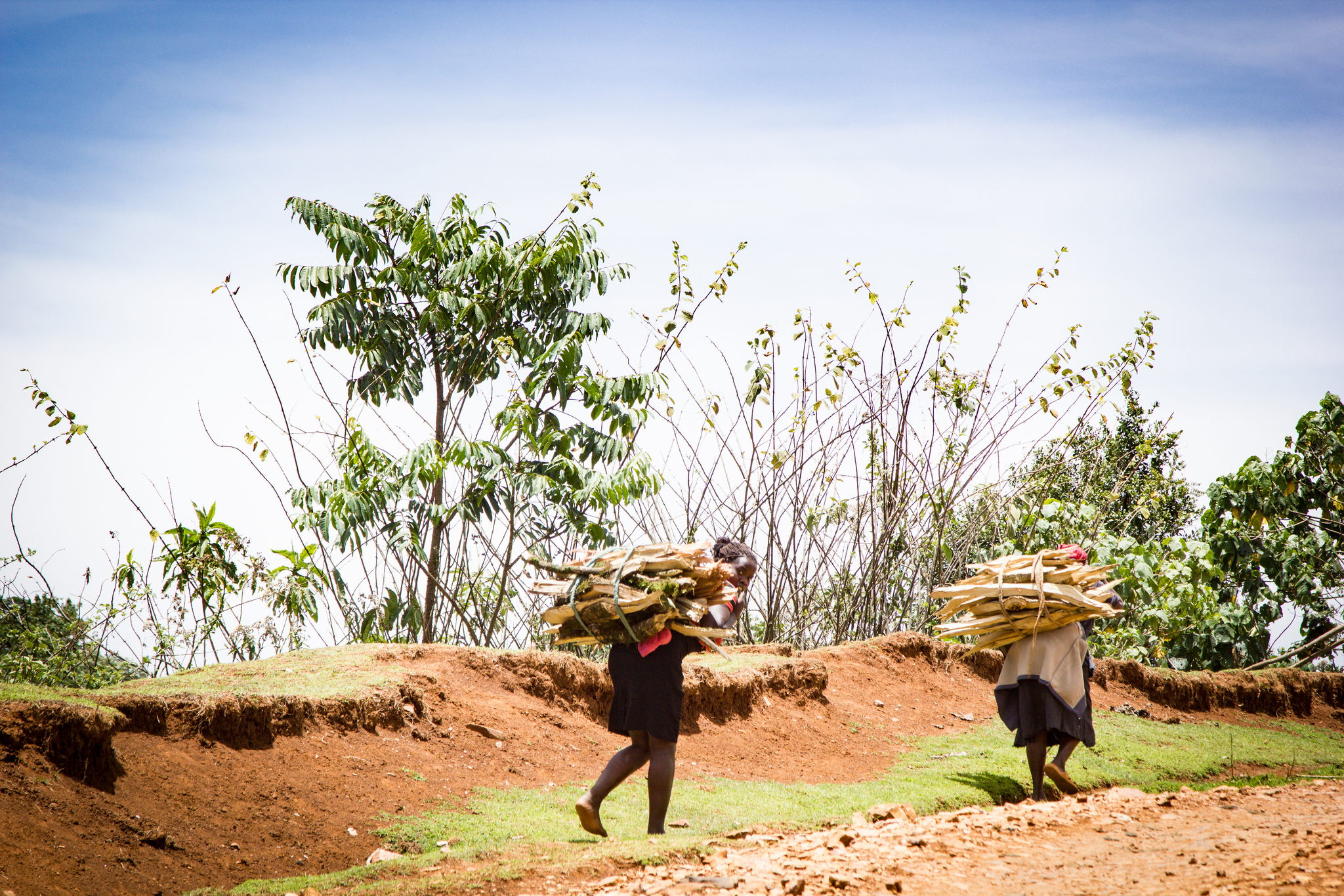 Africa and the Paris climate accord: Fuel for thought