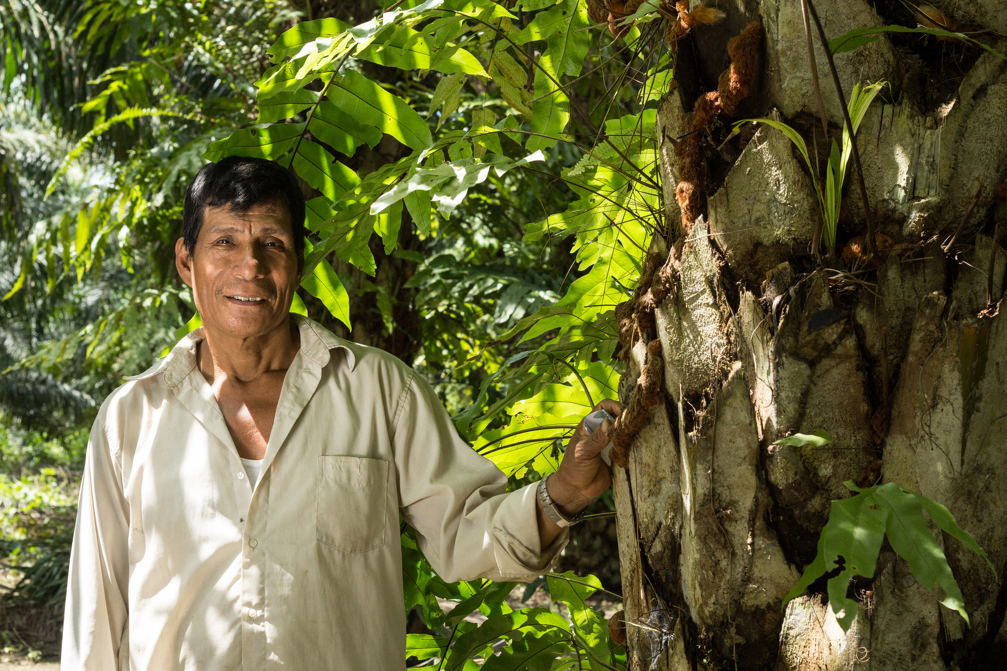 COP23: Respondiendo a la pregunta ¿“ha funcionado REDD+’’?