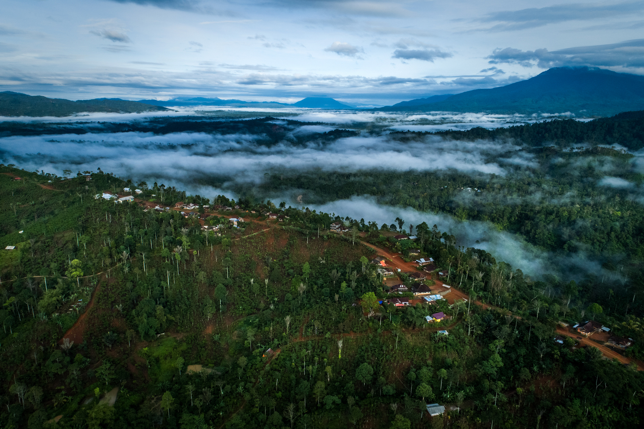 Científico: ‘’No’’ a una definición rígida del enfoque de paisajes
