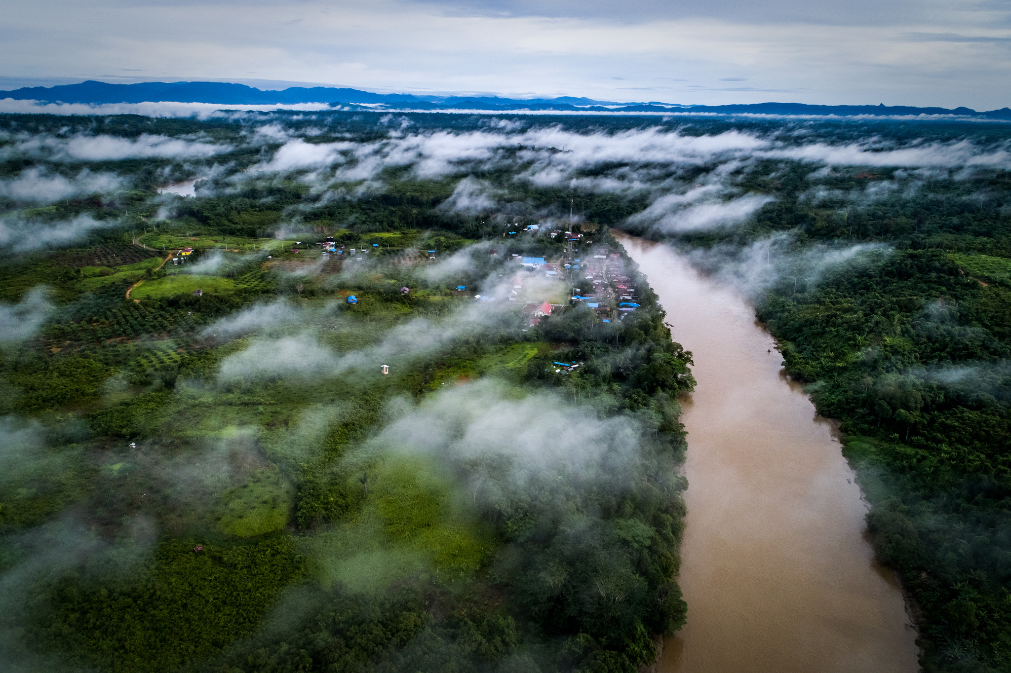 Precipitation and its relation to vegetation
