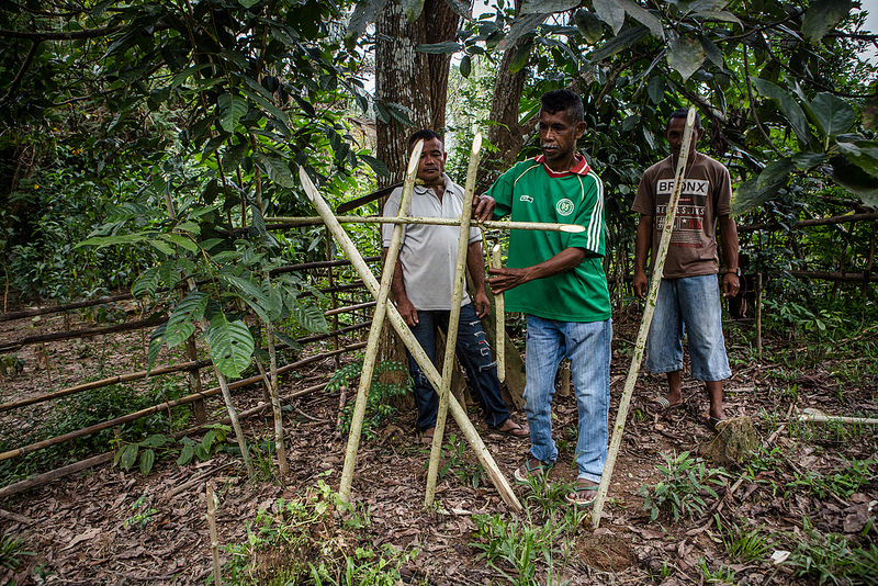 Kekuatan ‘Sasi’: Tabu adat yang melestarikan hutan