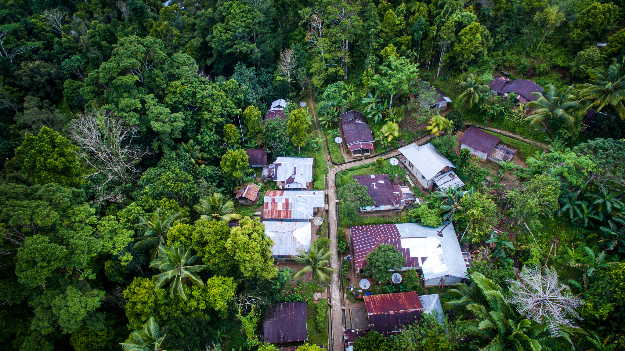 ‘The forest belongs to the community’