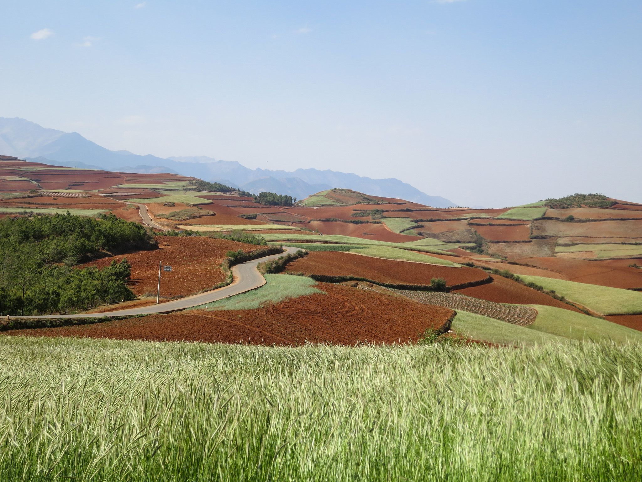 In China, paying farmers to restore forest landscapes