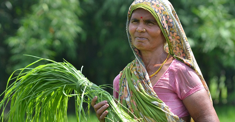 Relations hommes-femmes dans le domaine des forêts : Au-delà des chiffres