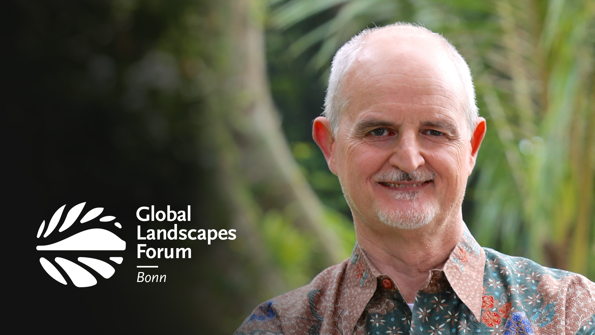 Should we burn trees for energy?