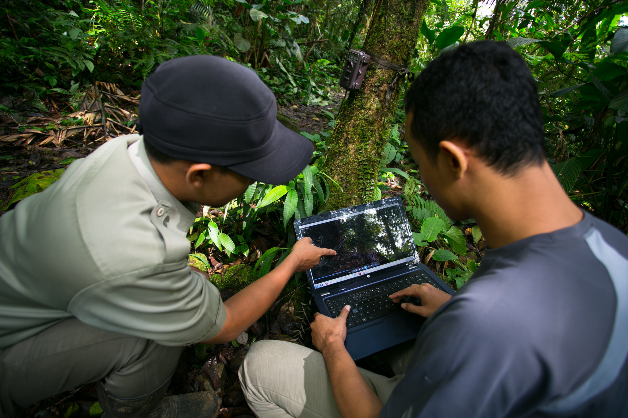 Por qué la transparencia en los datos es clave para los objetivos del clima y el desarrollo