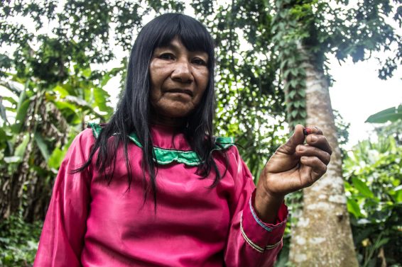 deforestation, peru, indigenous, titling, tenure, land rights