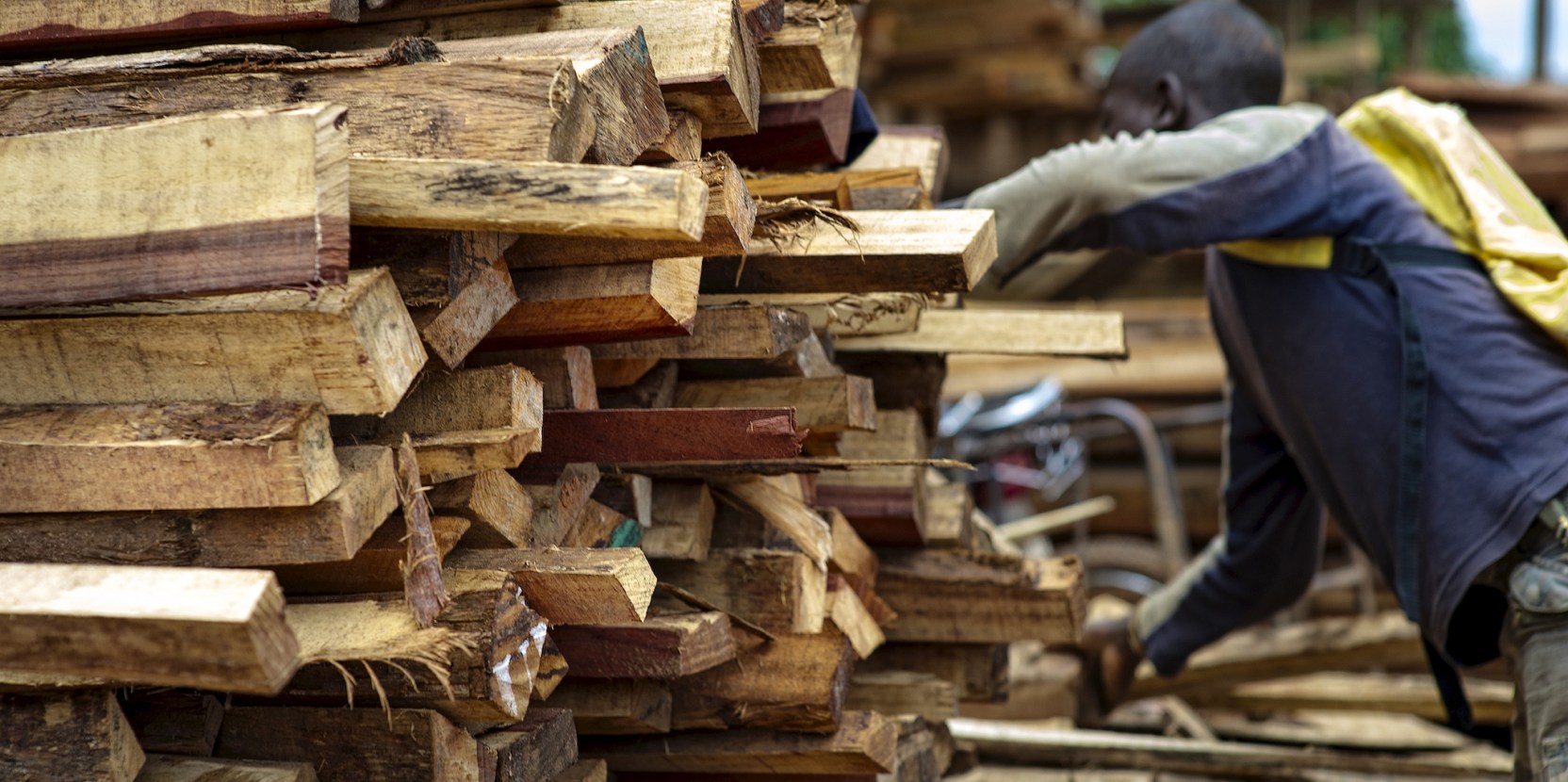 Décoder le marché du bois domestique au Cameroun